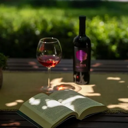 Casa Fragola By Briskva * Porec